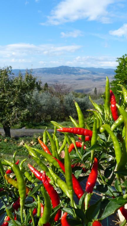 Agriturismo B And B Rifugio Dei Sogni Вольтерра Экстерьер фото